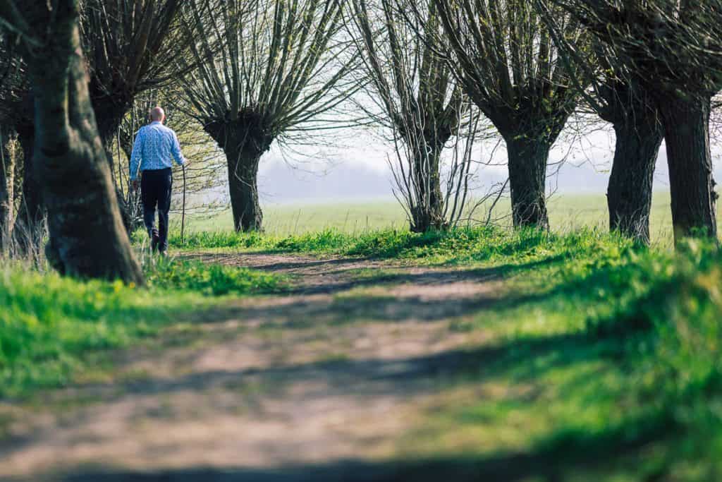 Bospad Lambert loopt over bospad