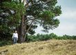 Stembevrijder Lambert naast grote boom