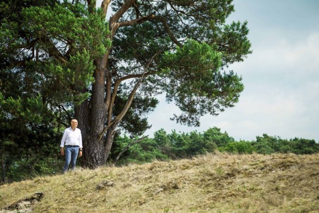 Stembevrijder Lambert naast grote boom