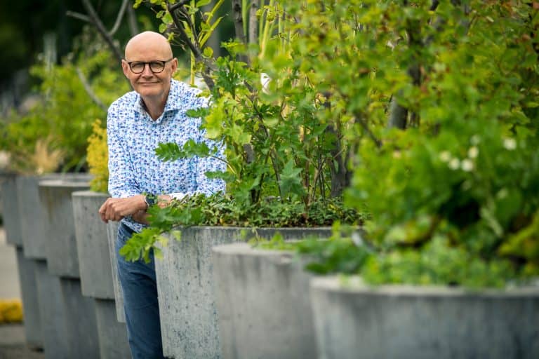 Lambert achter plantenbak